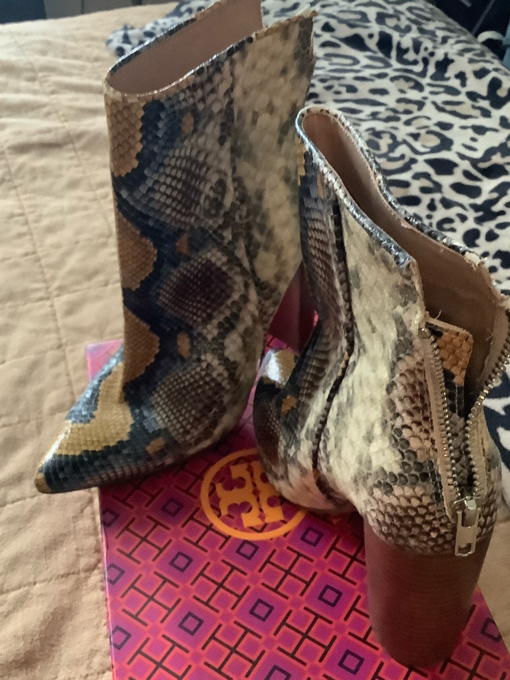 Steve Madden Snake-Print Pointed Toe Ankle Booties in Brown, Black and Cream